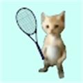 猫猫网球冠军