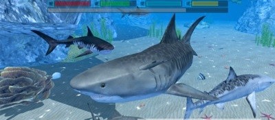终极鲨鱼攻击3D.jpg